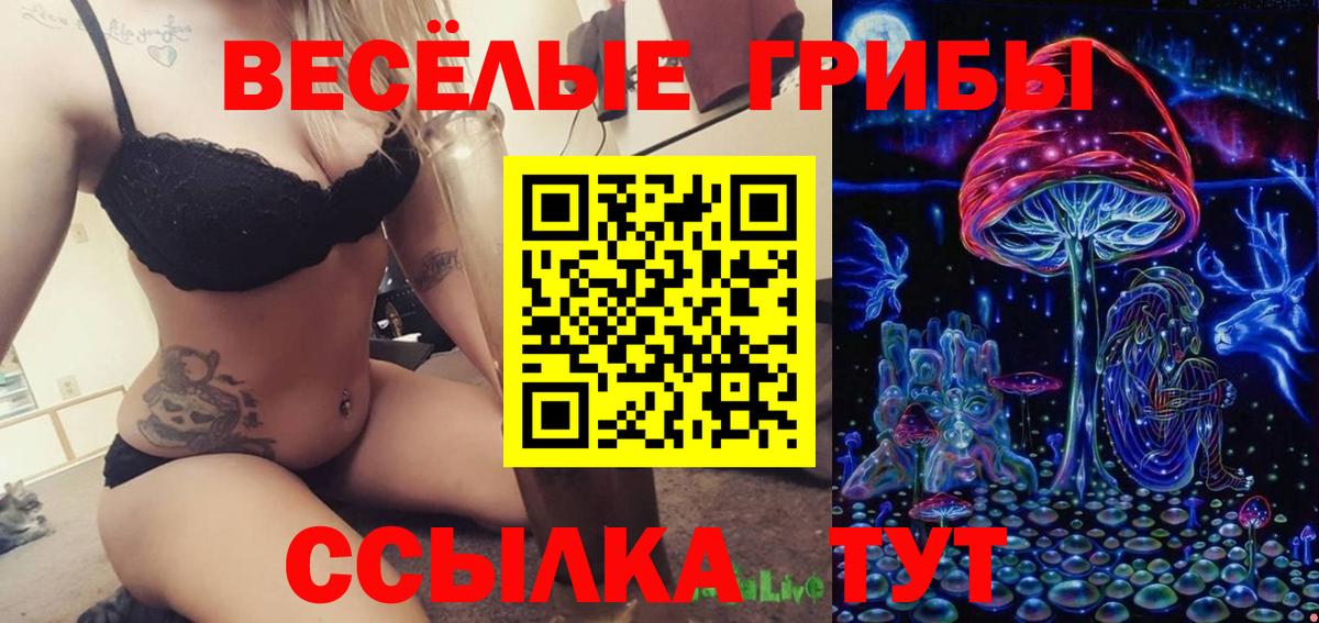 Галлюциногенные грибы ЛСД Кизляр