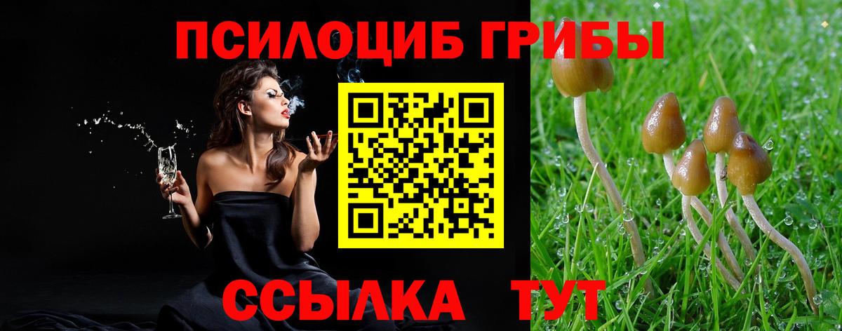 Кизляр  Галлюциногенные грибы Psilocybine cubensis  Галлюциногенные грибы мицелий  Вход с VPN 
